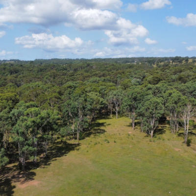 Expansive conservation area at Appin Grove, illustrating Walker’s commitment to preserving natural landscapes and enhancing wildlife habitats.